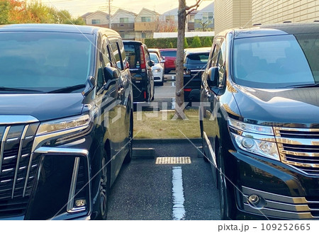 駐車場に並ぶ高級ミニバン 駐車場に並ぶ高級ミニバン 109252665
