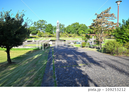 水と時の広場　修景池と時の塔　平成の森公園　川島町　 109253212