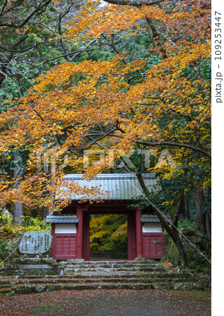 湖東三山 百済寺 秋 湖東三山 百済寺 秋 109253447
