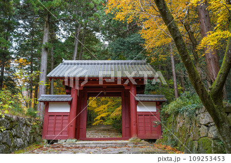 湖東三山 百済寺 秋 湖東三山 百済寺 秋 109253453