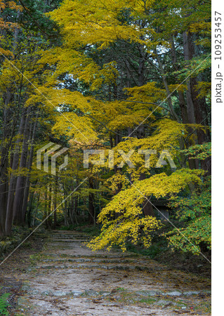 湖東三山 百済寺 秋 湖東三山 百済寺 秋 109253457