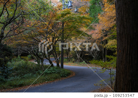 湖東三山 百済寺 秋 湖東三山 百済寺 秋 109253547