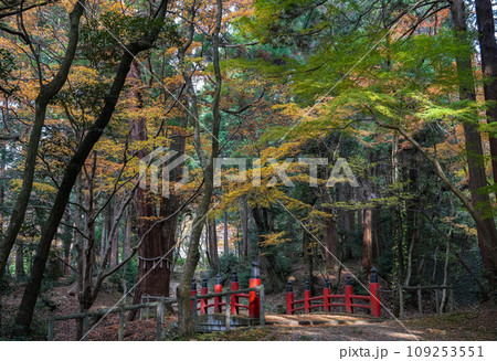 湖東三山 百済寺 秋 湖東三山 百済寺 秋 109253551