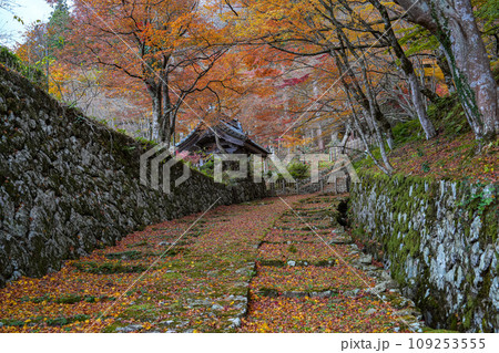 湖東三山 百済寺 秋 湖東三山 百済寺 秋 109253555