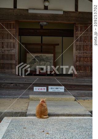 湖東三山　百済寺　秋 109253702