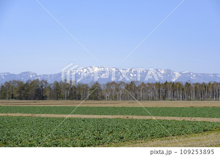 北海道　春の雪山と畑 109253895