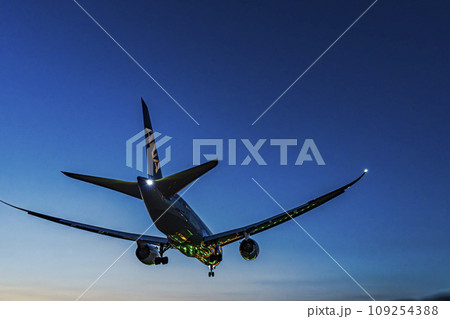 伊丹空港の風景　夕暮れの飛行機　大阪府豊中市 109254388