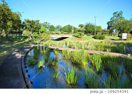 平成の森公園 水辺 川島町 平成の森公園 水辺 川島町 109254391