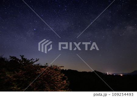 瀬戸内の春の星景 小島に咲く河津桜の上空の白鳥座 瀬戸内の春の星景 小島に咲く河津桜の上空の白鳥座 109254493
