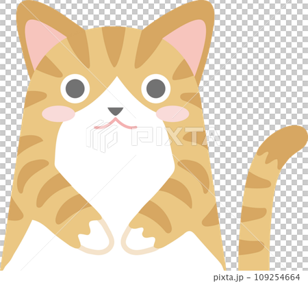 トラネコ_ニャンコ_茶白猫_お手々をお腹に当てた茶白猫_猫のイラスト 109254664