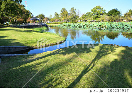 平成の森公園　修景池 　水辺　川島町　 109254917