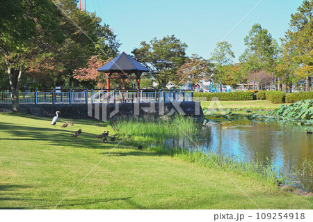平成の森公園 修景池 水辺 川島町 平成の森公園 修景池 水辺 川島町 109254918