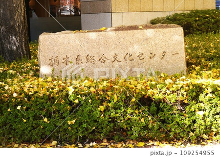 黄色く色づいた銀杏の木に抱かれるように佇む、栃木県総合文化センター。 黄色く色づいた銀杏の木に抱かれるように佇む、栃木県総合文化センター。 109254955