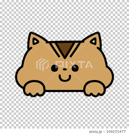 Cute squirrel peeking out Cute squirrel peeking out 109255477