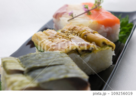 押し寿司 三品 押し寿司 三品 109256019