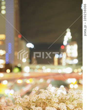 私は 夜の花 私は 夜の花 109256066