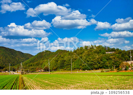 史跡小谷城址 史跡小谷城址 109256538