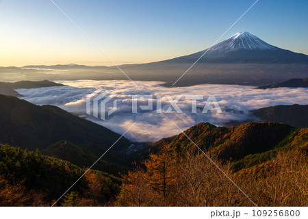 日本の風景「富士山と雲海」 109256800