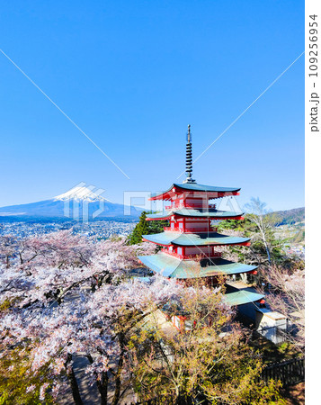 新倉山浅間公園（春） 109256954