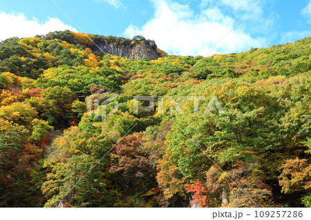 紅葉の吹割渓谷　屏風岩 109257286