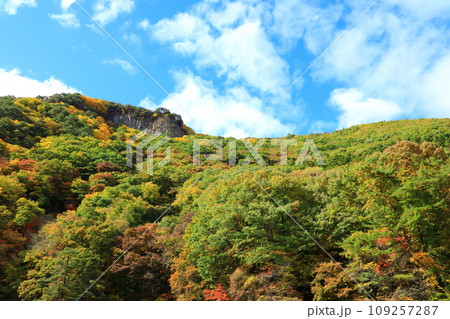 紅葉の吹割渓谷　屏風岩 109257287