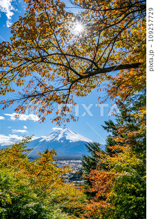 新倉山浅間公園 雄大な富士山と桜の紅葉 秋 光芒 新倉山浅間公園 雄大な富士山と桜の紅葉 秋 光芒 109257729