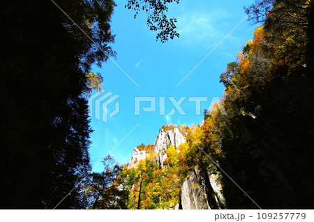 燃える秋、錦秋の北海道、十月、層雲峡の紅葉、黒岳ロープウェイ、ロープウェーで登る黒岳、赤黄色の紅葉 109257779