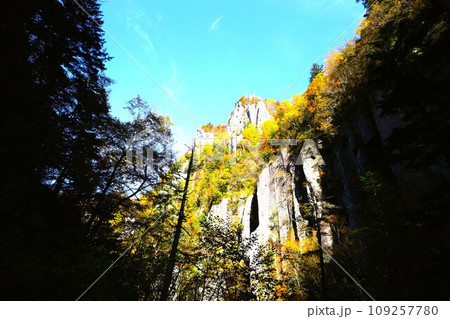 燃える秋、錦秋の北海道、十月、層雲峡の紅葉、黒岳ロープウェイ、ロープウェーで登る黒岳、赤黄色の紅葉 燃える秋、錦秋の北海道、十月、層雲峡の紅葉、黒岳ロープウェイ、ロープウェーで登る黒岳、赤黄色の紅葉 109257780