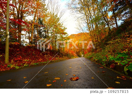 燃える秋、錦秋の北海道、十月、層雲峡の紅葉、黒岳ロープウェイ、ロープウェーで登る黒岳、赤黄色の紅葉 109257815