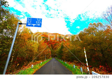 燃える秋、錦秋の北海道、十月、層雲峡の紅葉、黒岳ロープウェイ、ロープウェーで登る黒岳、赤黄色の紅葉 燃える秋、錦秋の北海道、十月、層雲峡の紅葉、黒岳ロープウェイ、ロープウェーで登る黒岳、赤黄色の紅葉 109257830