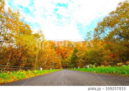 燃える秋、錦秋の北海道、十月、層雲峡の紅葉、黒岳ロープウェイ、ロープウェーで登る黒岳、赤黄色の紅葉 109257833