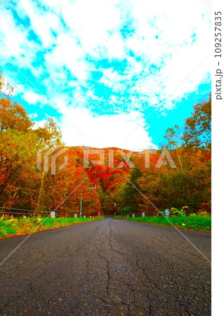 燃える秋、錦秋の北海道、十月、層雲峡の紅葉、黒岳ロープウェイ、ロープウェーで登る黒岳、赤黄色の紅葉 109257835