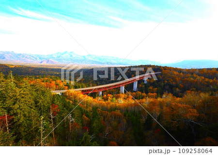 燃える秋、錦秋の北海道、十月、層雲峡の紅葉を、黒岳を眺めながらの三国峠へ 109258064