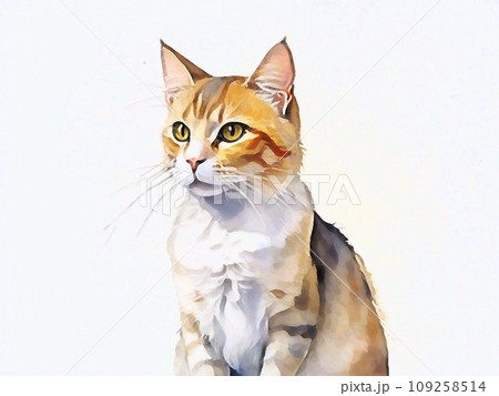 猫の横顔 109258514