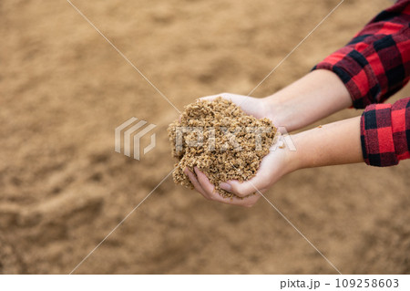 Hands of woman farmer holding pile of brewer's spent grain 109258603