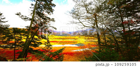 十月、紅葉の北海道、国道二七三号線、上士幌町の士幌線跡、糠平湖と鹿追町の湖底線路を訪ねる秋の旅、秋旅 109259105