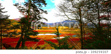 十月、紅葉の北海道、国道二七三号線、上士幌町の士幌線跡、糠平湖と鹿追町の湖底線路を訪ねる秋の旅、秋旅 109259107