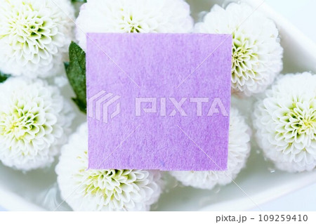 水に浮かんだ白い菊の花のフローティングフラワーが背景の秋イメージのタイトル枠のモックアップ 水に浮かんだ白い菊の花のフローティングフラワーが背景の秋イメージのタイトル枠のモックアップ 109259410