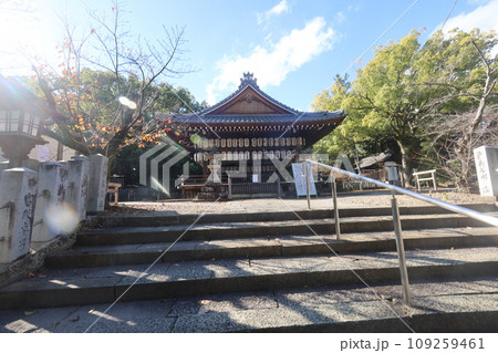 向日神社 109259461