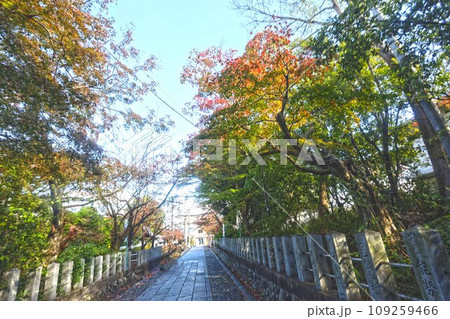 神社の石畳 神社の石畳 109259466