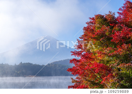 日本の風景「富士山と紅葉」 日本の風景「富士山と紅葉」 109259889