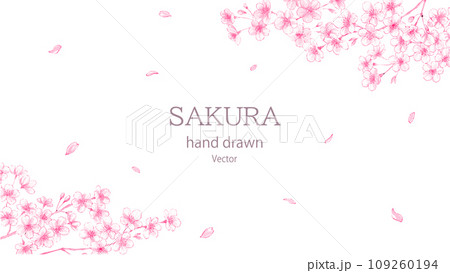 水彩で描いた桜のフレーム　ピンク単色ベクターイラスト 109260194
