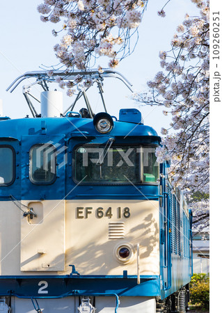 山梨県甲州市の春　勝沼ぶどう郷駅（甚六桜公園）の桜 109260251