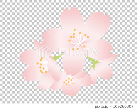Simple cherry blossom illustration that can be used as a focal point, gradation color Simple cherry blossom illustration that can be used as a focal point, gradation color 109260307
