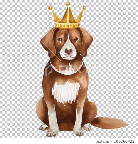 Watercolor drawing of cute dog wearing crown, transparent background 109260422