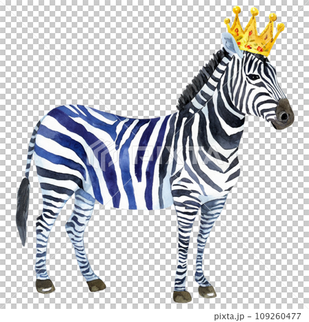 Watercolor drawing of cute zebra wearing crown, transparent background 109260477
