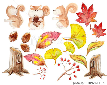 手描き水彩画 秋のセット カットイラストのイラスト素材 [109261183
