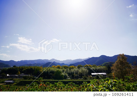 兵庫 丹波篠山 篠山城 二の丸からみた三の丸南広場と雲紋竹林群(南方向、晩秋) 兵庫 丹波篠山 篠山城 二の丸からみた三の丸南広場と雲紋竹林群(南方向、晩秋) 109261411