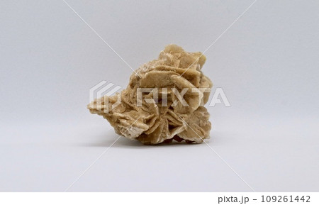 デザートローズ 109261442