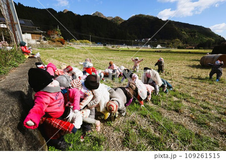 天高く肥ゆる秋、十一月の九州、中津、耶馬渓、猿飛千壺峡をさんぽ、秋空に渓谷が映える 109261515
